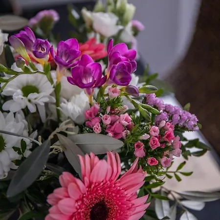 Sainte Marguerite Отель типа 